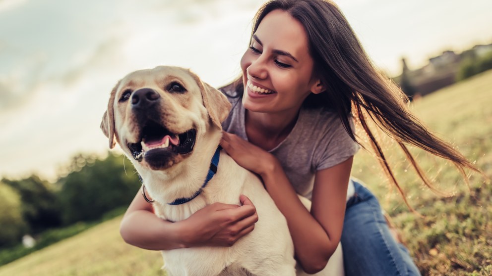 Síntomas de que tu perro es feliz