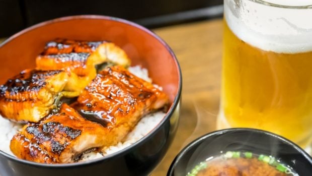 Receta de anguila con cerveza