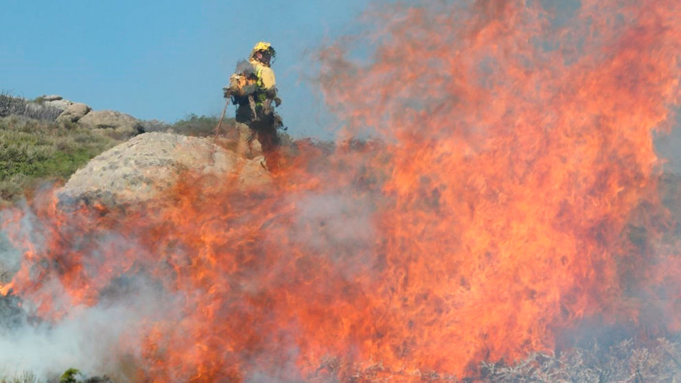Un bombero trabaja en la extinción del incendio declarado en Miraflores de la Sierra. Foto: EP
