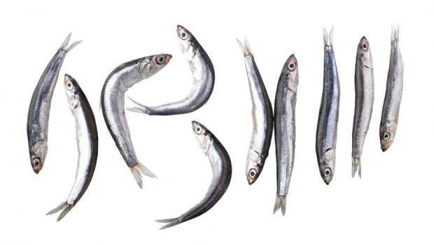 Boquerones a la sidra