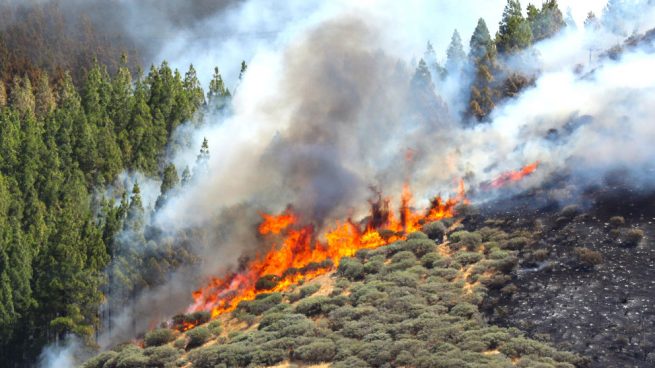 El incendio de Artenara (Gran Canaria) sigue activo y fuera de control tras quemar más de 100 hectáreas