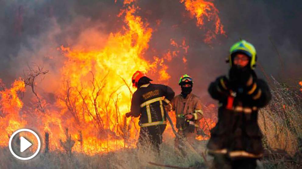 Los incendios forestales, en cifras récord este 2019.