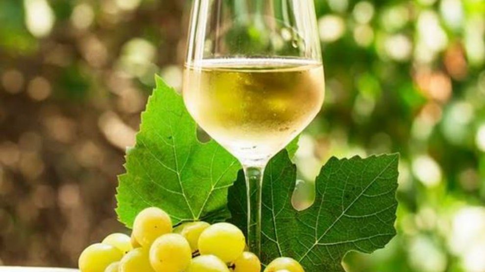 La OCU da algunas recomendaciones sobre a qué temperatura se bebe cada vino.