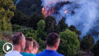 incendio-canarias