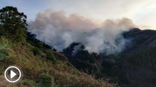 incendio-en-gran-canaria