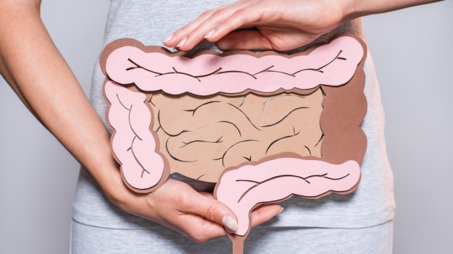 El vólvulo intestinal