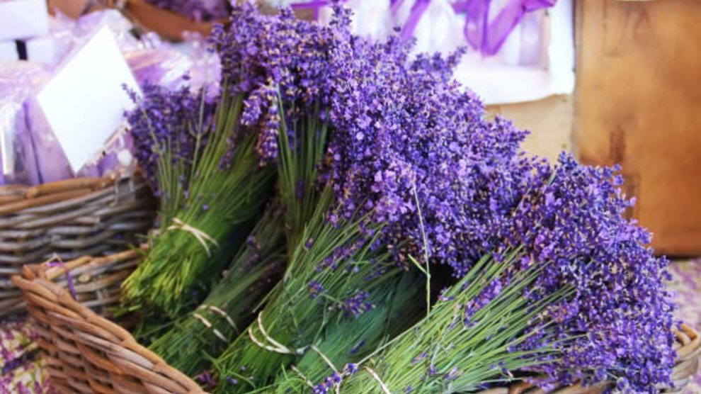 Aprende cómo hacer un ramo de lavanda