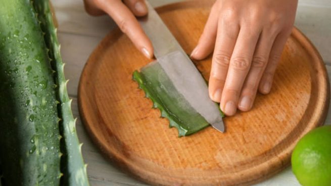 cortar las hojas de aloe vera