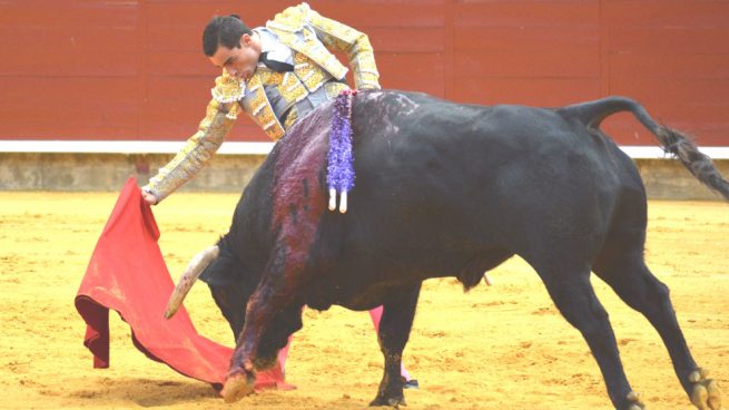 Paco Ureña sufre una grave cornada en el arranque de la Feria de Palencia