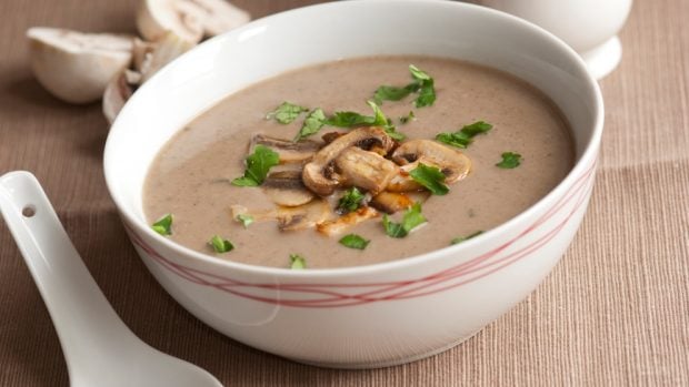 Crema aromática de setas y avellanas