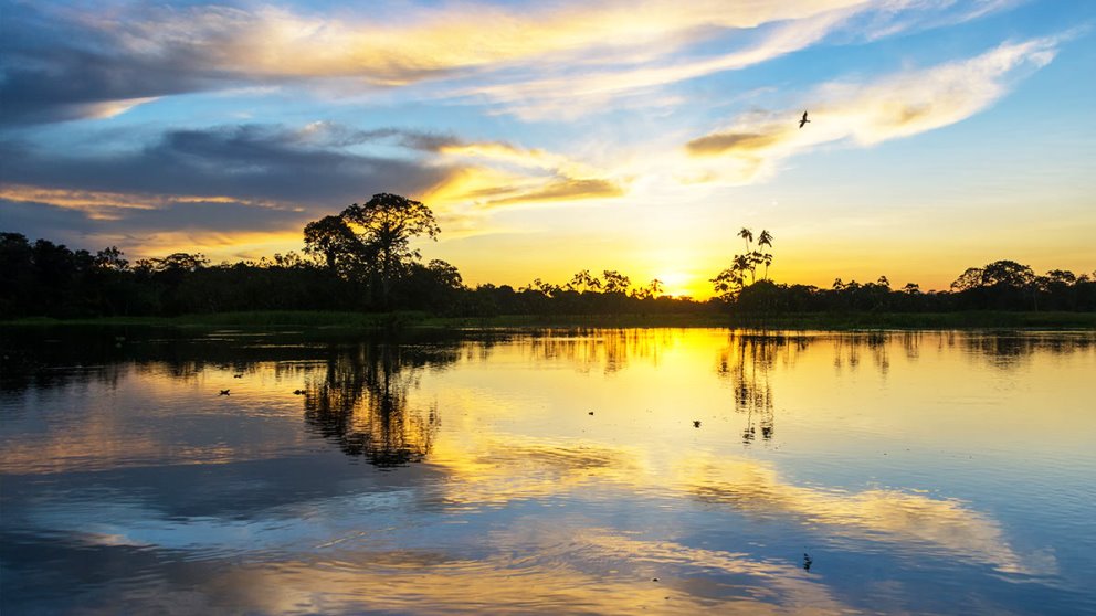 El Amazonas es el río más largo del planeta