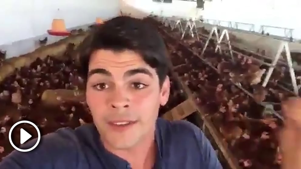 Ver vídeo