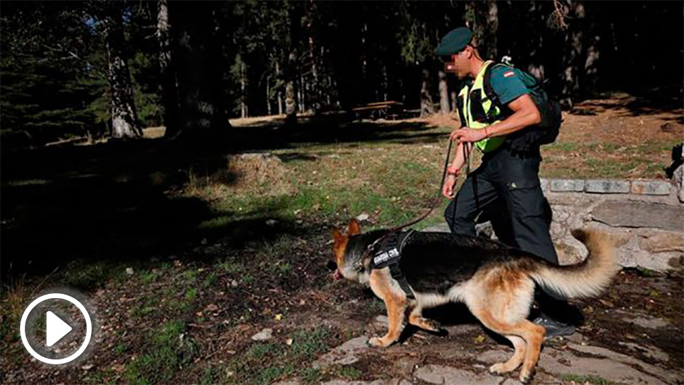 Agentes de la Guardia Civil trabajan en la búsqueda de la esquiadora Blanca Fernández Ochoa, desaparecida desde el pasado día 23, este miércols en la sierra de Madrid. Foto: EFE