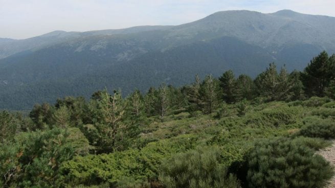 El Pico de La Peñota de la Sierra de Guadarrama