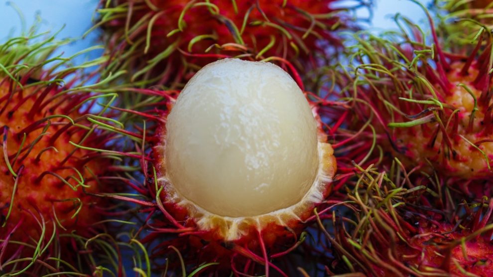 Hay frutas que parecen obras de arte