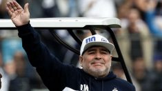 Maradona durante su presentación como entrenador de Gimnaisa y Esgrima La Plata. (AFP)