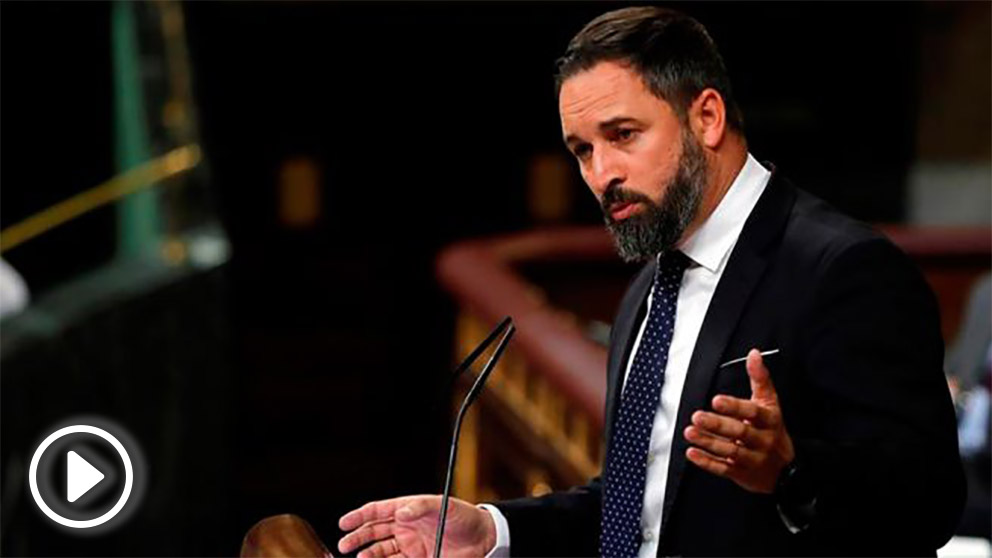 Santiago Abascal, en la Tribuna del Congreso de los Diputados.