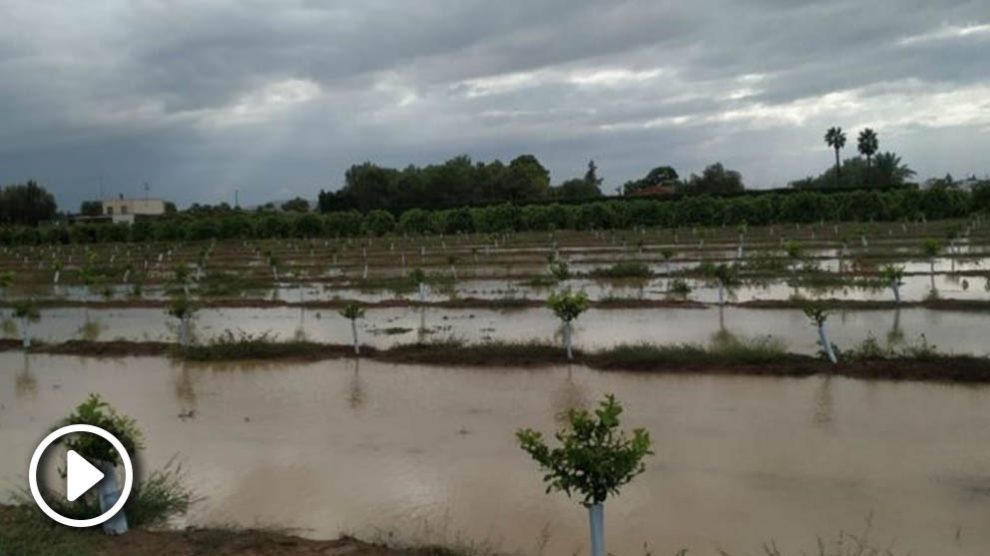 Un campo anegado en la Vega Baja. Foto: Europa Press