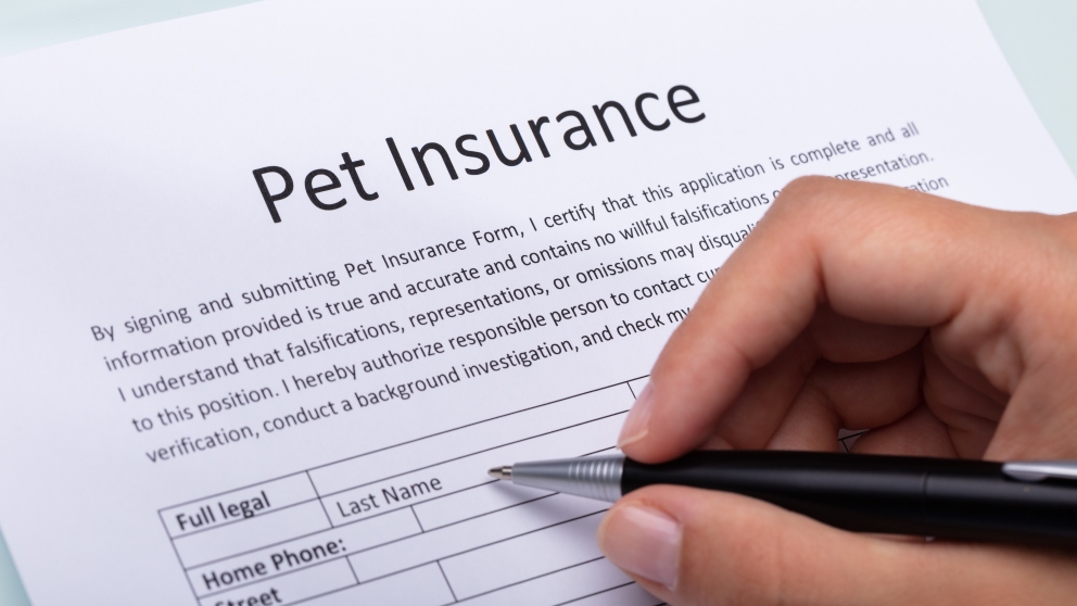 Clases de seguros de mascotas