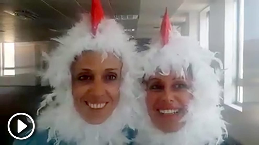 El video de las ‘gallinas’ que se ha hecho viral.