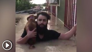 ribera-molina-perro