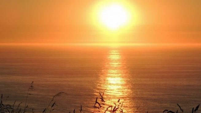 Aunque el sol es altamente perjudicial para nuestra piel, también aporta vitaminas.