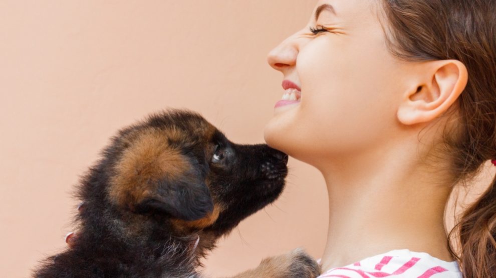 Como Quitarle El Hipo A Un Perro