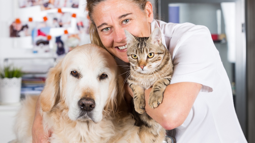 Tratamiento diagnóstico: biopsia en perros y gatos