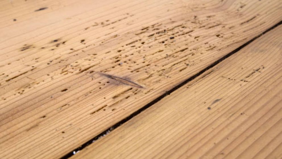 Pasos para tapar los agujeros de la carcoma en la madera