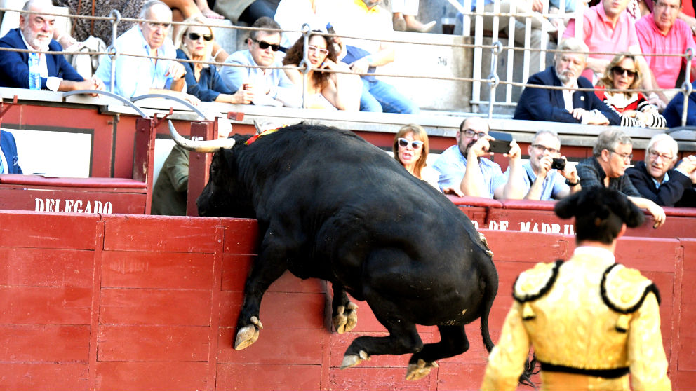 Un toro se abalanza sobre la grada este sábado en Las Ventas (Foto: EFE).