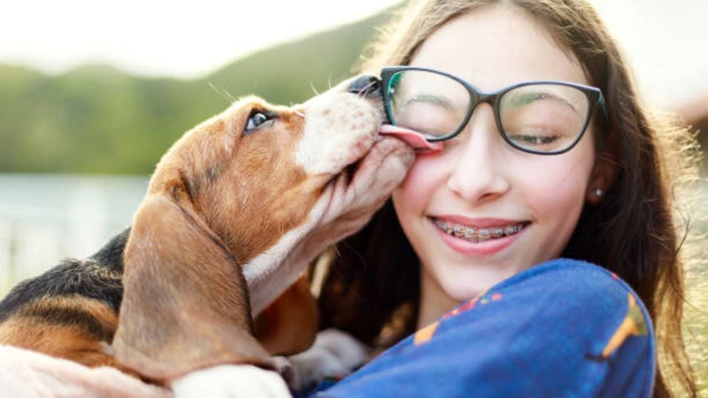 Guía de pasos para conseguir que el perro deje de lamerte