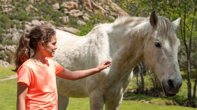 Comportamiento del caballo