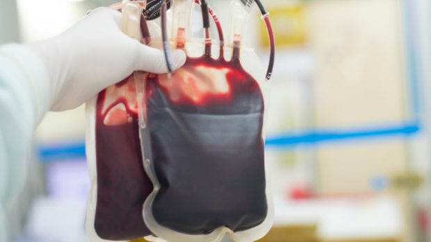 ¿Qué saber para donar sangre?