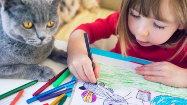 Cómo dibujar un gato realista