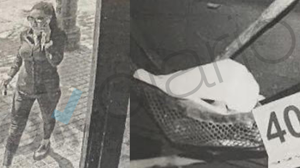 Relato fotográfico del crimen de Dana Leonte.