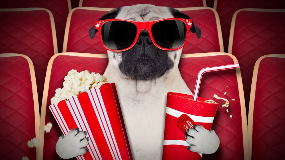 Los perros ya pueden ir al cine