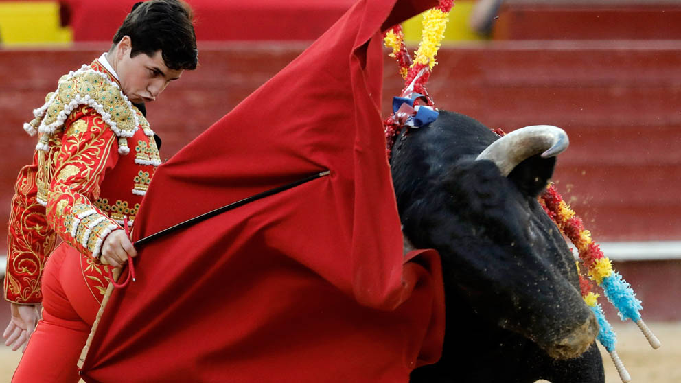 Toros en Valencia (Foto: EFE)