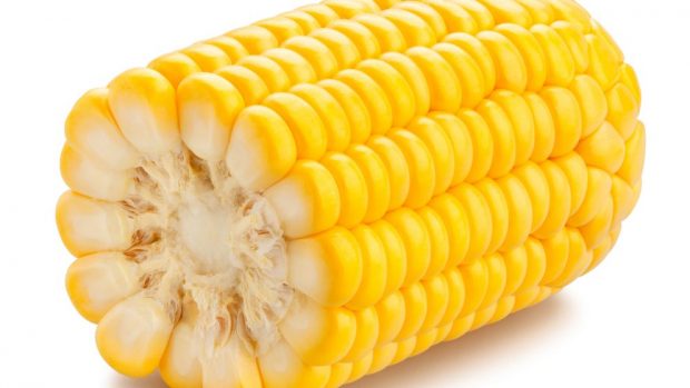 Trucos Para Cocinar Mazorcas De Maiz Y Que Queden Tiernas