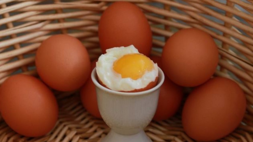 Día Mundial del Huevo, ¿Por qué se celebra este día?