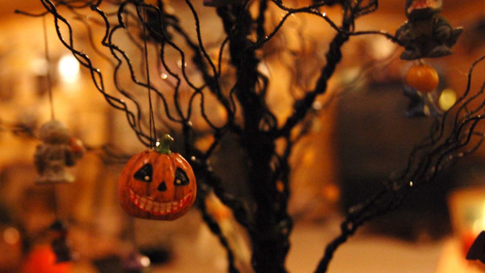 Cómo decorar un árbol de Halloween en solo 8 pasos