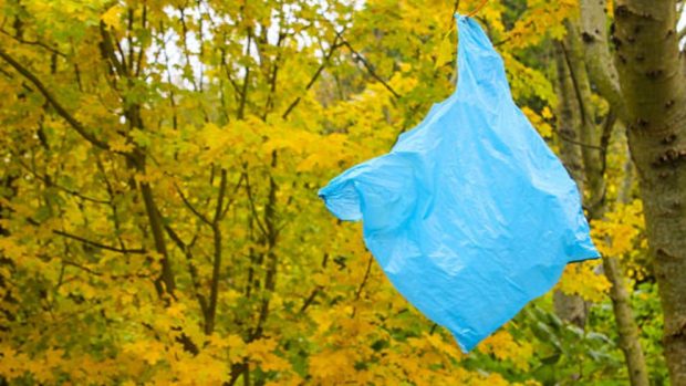 hacer árbol decorativo con una bolsa