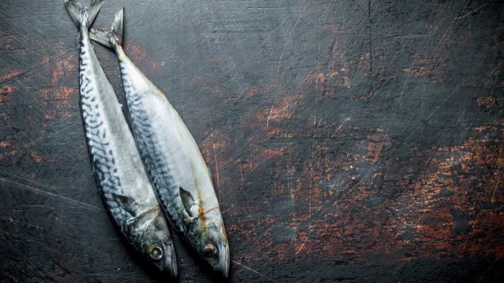 ¿Cómo Puedes Evitar El Mal Olor A Pescado En Tu Cocina? - Guiadelacasa