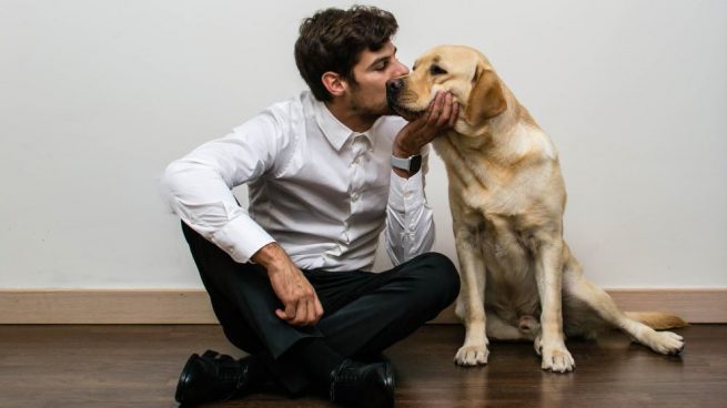 La amistad entre el hombre y el perro