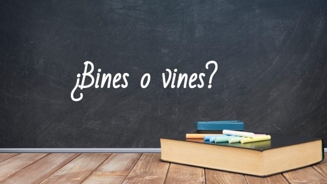 Cómo se escribe bines o vines