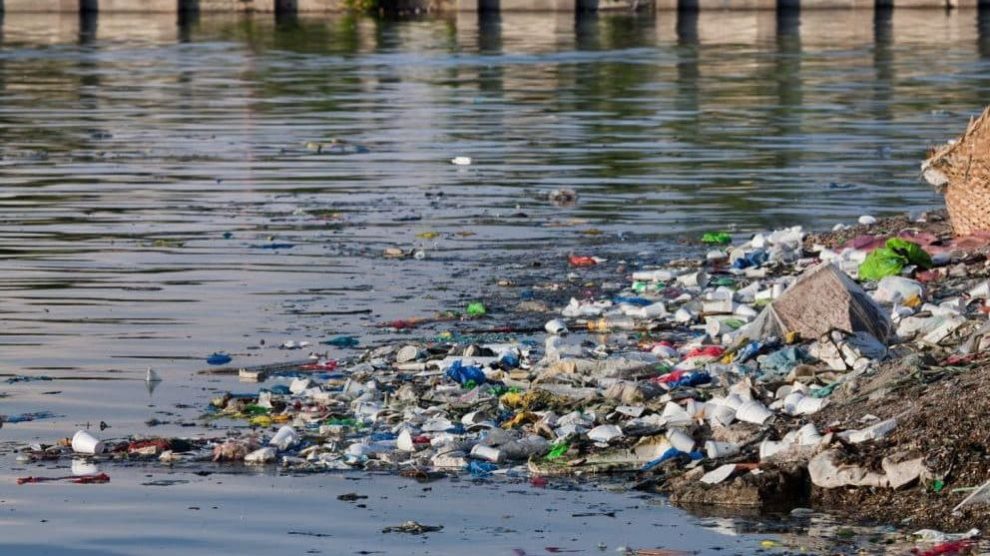 Degradación ambiental: en qué consiste