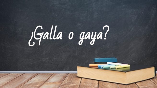 Cómo se escribe galla o gaya