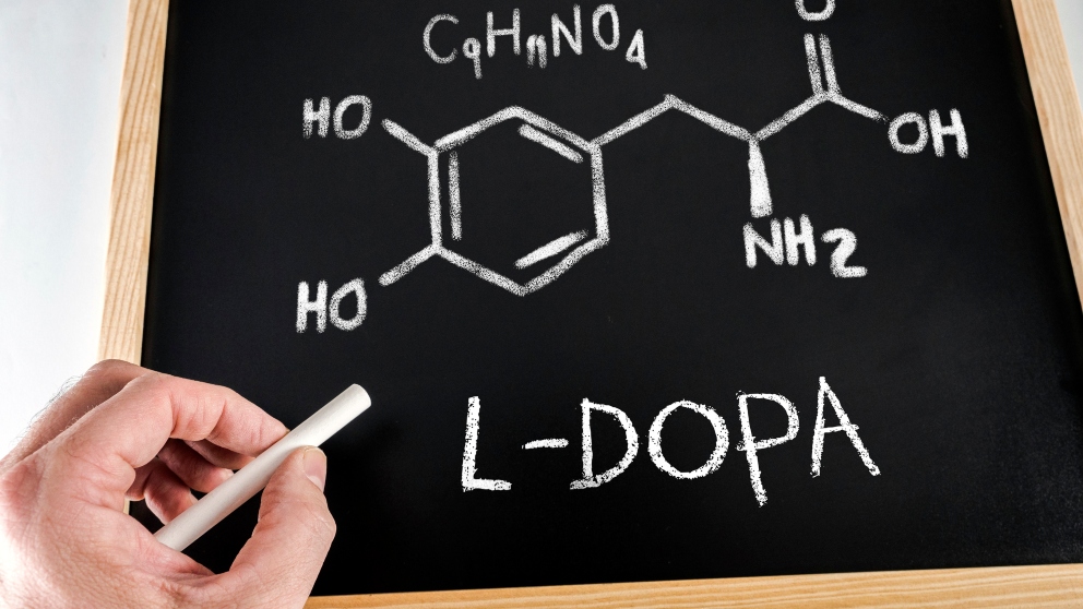 ¿Para qué se usa la terapia de la levodopa?