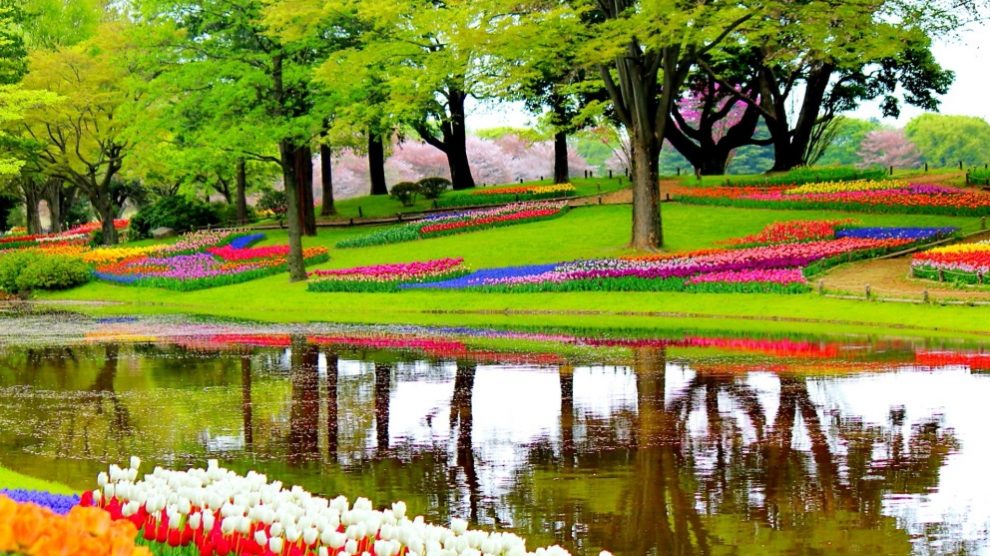 En Holanda puedes encontrar un parque que parece dibujado a la perfección