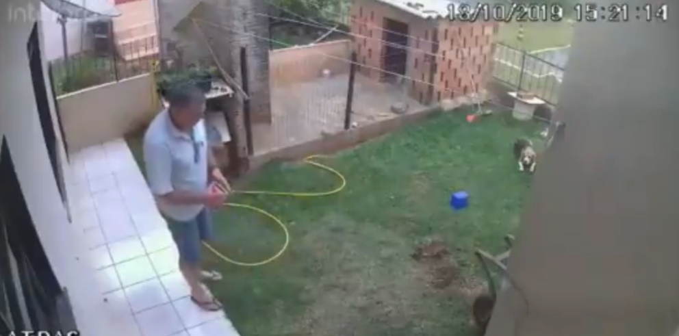 Facebook: Mata todas las hormigas haciendo explotar el jardín accidentalmente