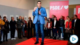 pedro-sanchez
